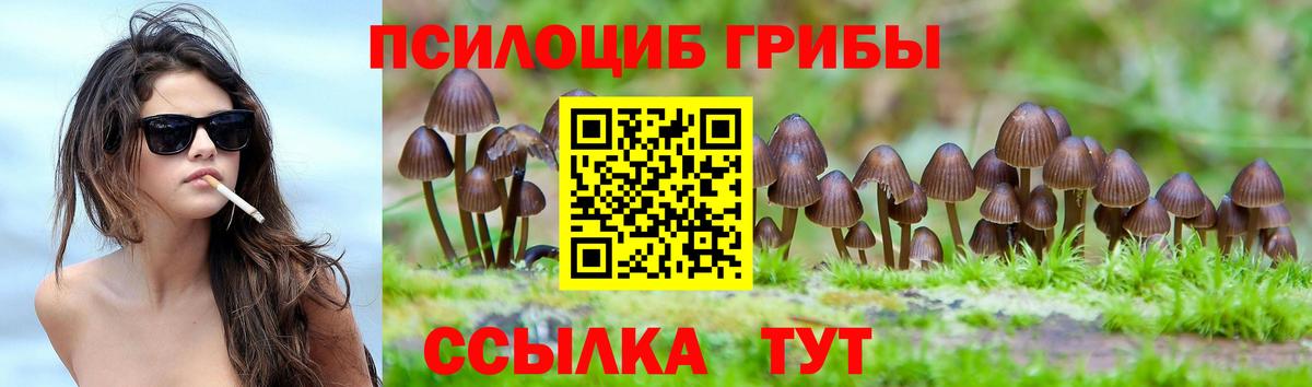Галлюциногенные грибы Cubensis Сатка